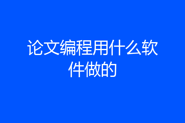 论文编程用什么软件做的