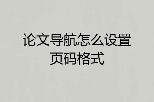 论文导航怎么设置页码格式
