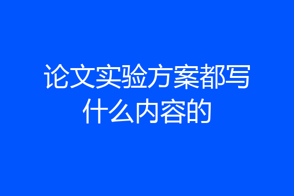 论文实验方案都写什么内容的