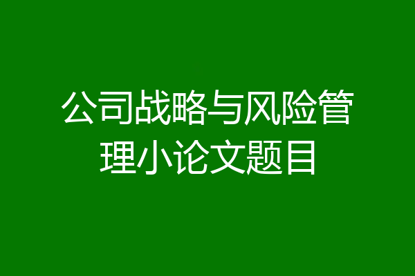 公司战略与风险管理小论文题目