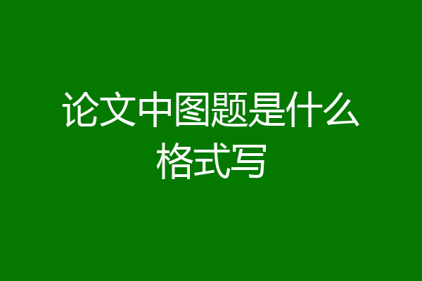 论文中图题是什么格式写