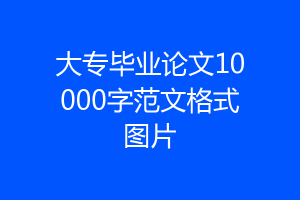 大专毕业论文10000字范文格式图片