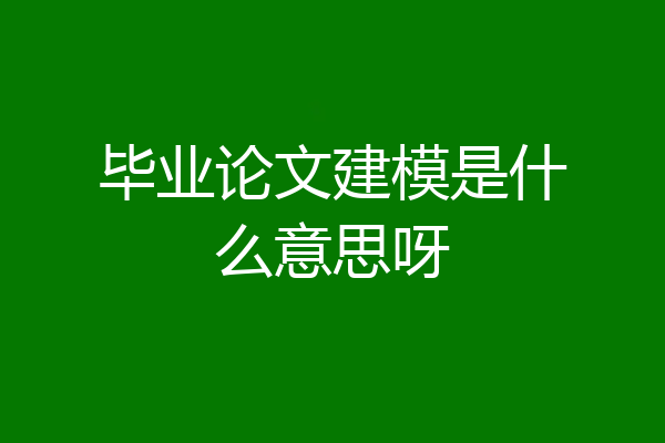 毕业论文建模是什么意思呀