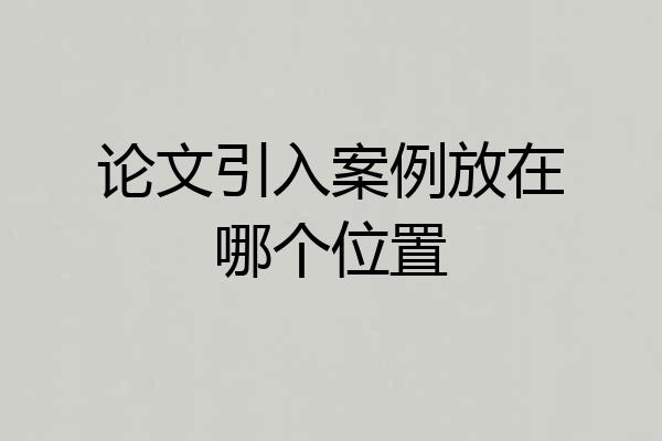 论文引入案例放在哪个位置