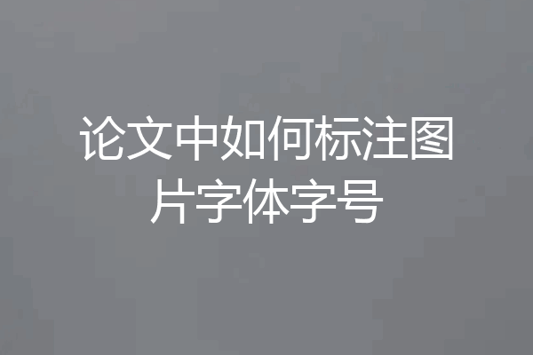 论文中如何标注图片字体字号