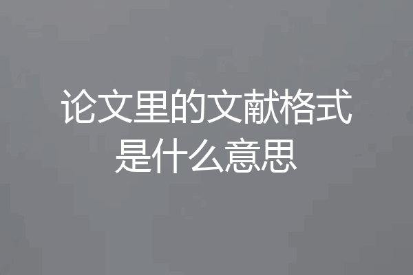 论文里的文献格式是什么意思