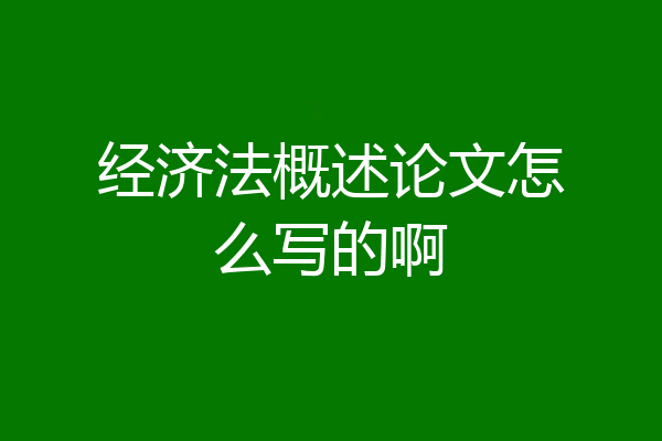 经济法概述论文怎么写的啊