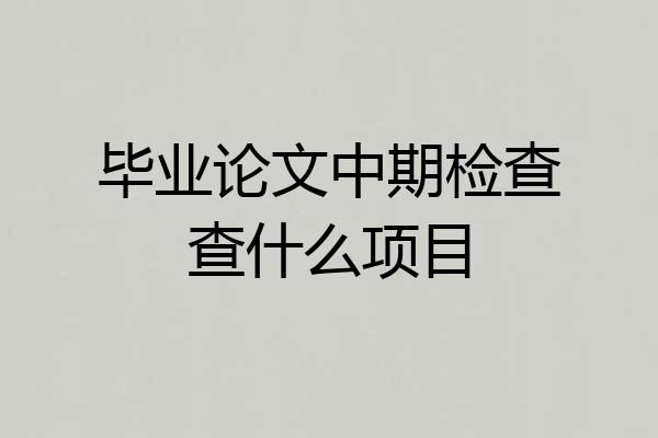 毕业论文中期检查查什么项目