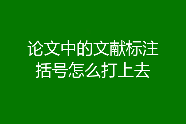 论文中的文献标注括号怎么打上去