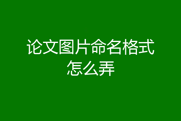 论文图片命名格式怎么弄