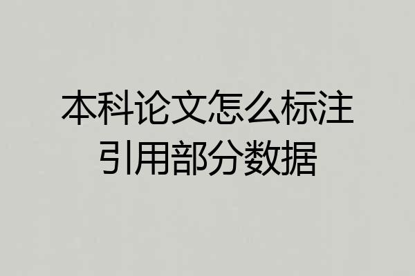 本科论文怎么标注引用部分数据