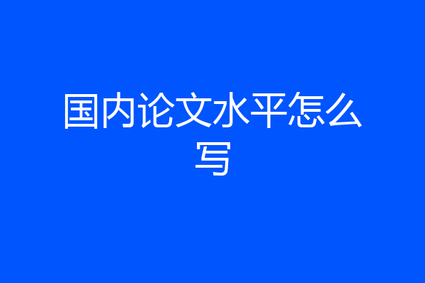 国内论文水平怎么写