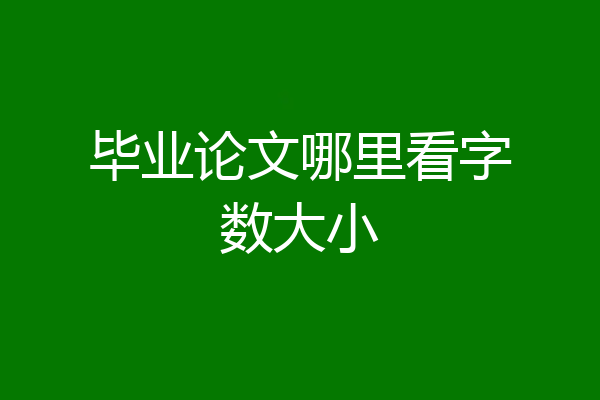 毕业论文哪里看字数大小