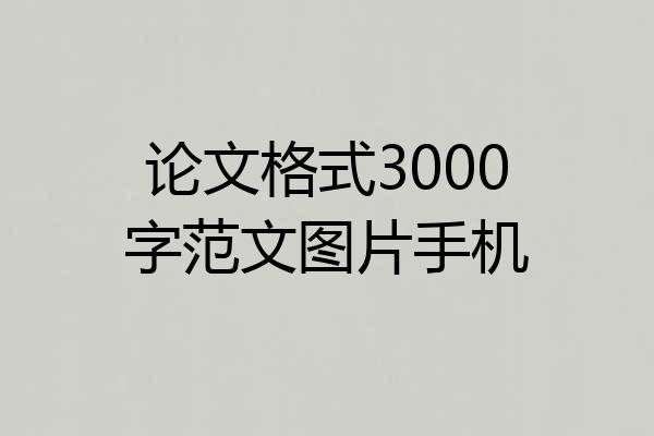 论文格式3000字范文图片手机