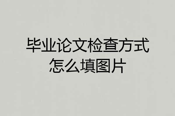 毕业论文检查方式怎么填图片