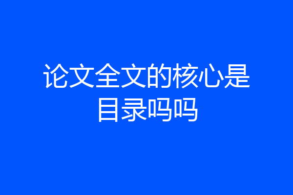 论文全文的核心是目录吗吗