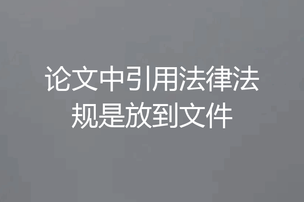 论文中引用法律法规是放到文件