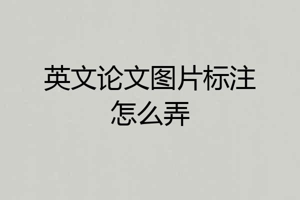 英文论文图片标注怎么弄