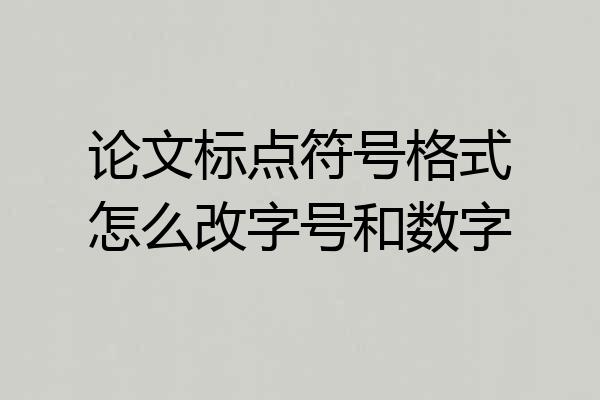 论文标点符号格式怎么改字号和数字