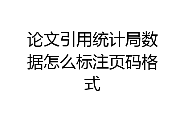 论文引用统计局数据怎么标注页码格式