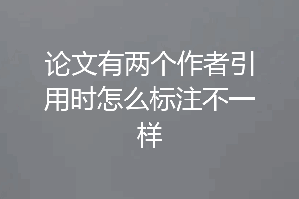 论文有两个作者引用时怎么标注不一样