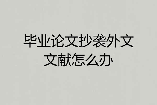 毕业论文抄袭外文文献怎么办