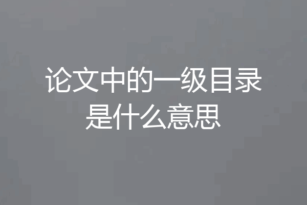 论文中的一级目录是什么意思