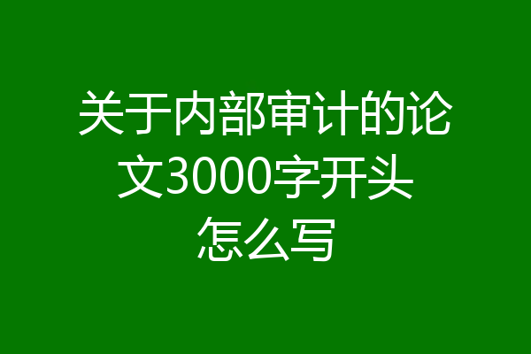 关于内部审计的论文3000字开头怎么写