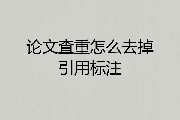 论文查重怎么去掉引用标注
