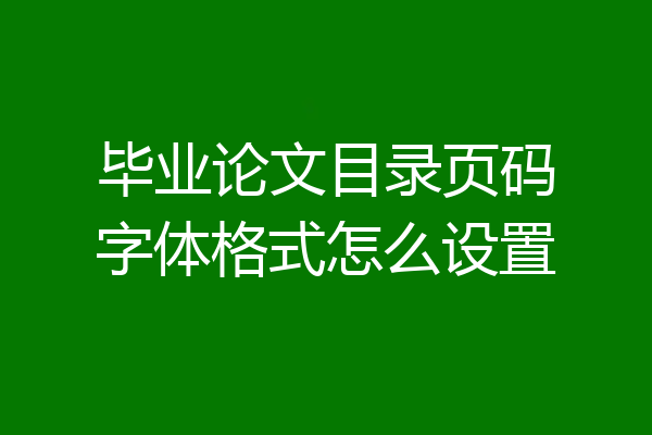 毕业论文目录页码字体格式怎么设置