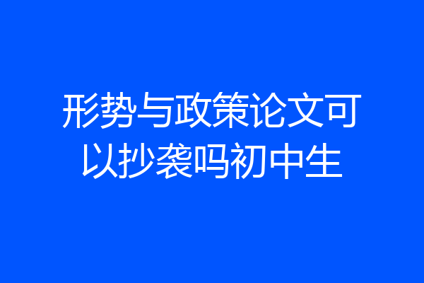 形势与政策论文可以抄袭吗初中生