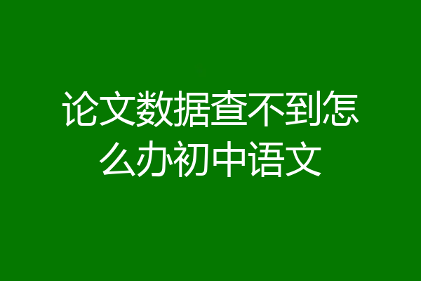论文数据查不到怎么办初中语文