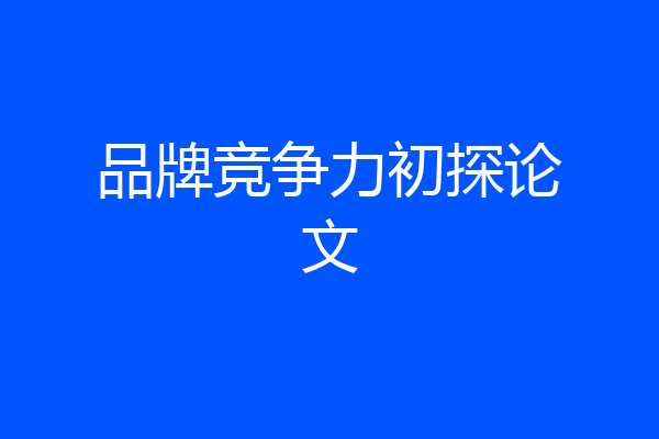 品牌竞争力初探论文