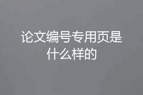 论文编号专用页是什么样的