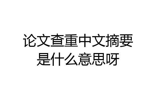 论文查重中文摘要是什么意思呀