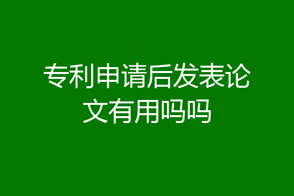 专利申请后发表论文有用吗吗