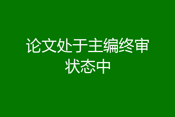 论文处于主编终审状态中