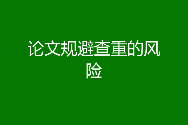 论文规避查重的风险