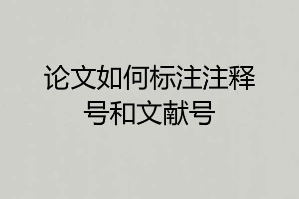 论文如何标注注释号和文献号