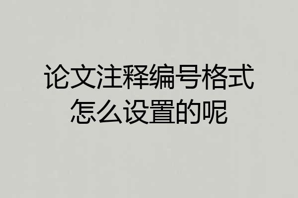 论文注释编号格式怎么设置的呢