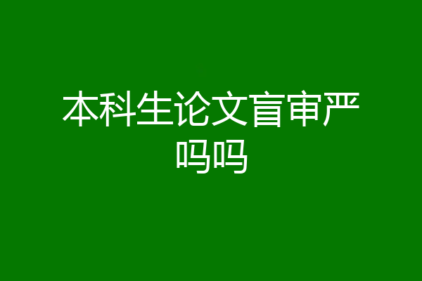 本科生论文盲审严吗吗