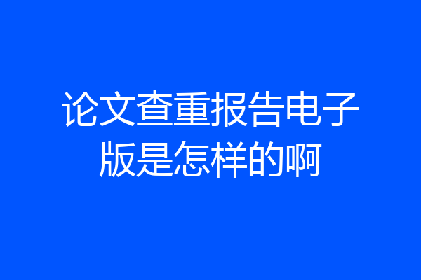 论文查重报告电子版是怎样的啊