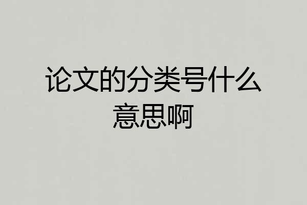 论文的分类号什么意思啊