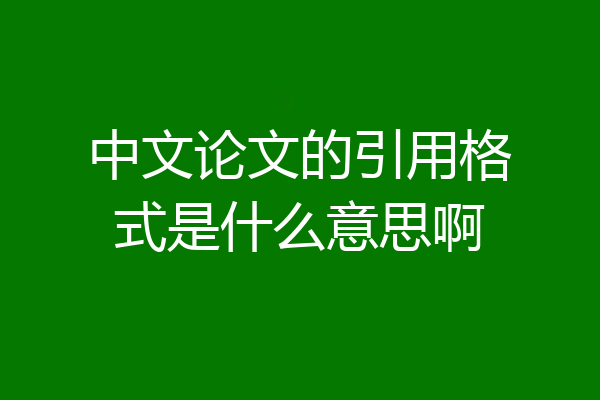 中文论文的引用格式是什么意思啊