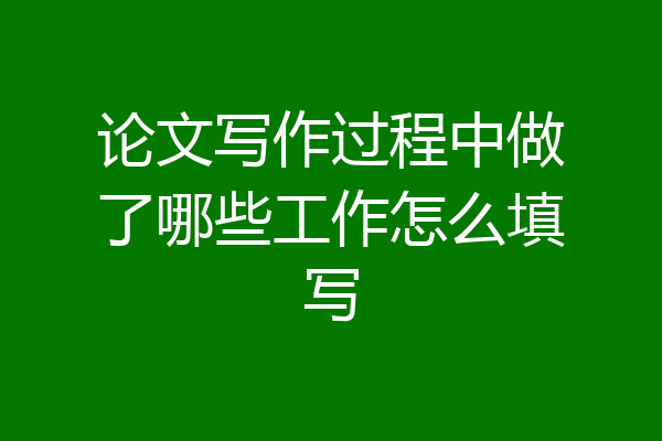 论文写作过程中做了哪些工作怎么填写