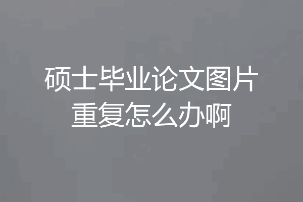 硕士毕业论文图片重复怎么办啊