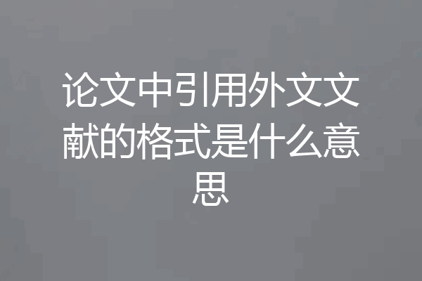 论文中引用外文文献的格式是什么意思