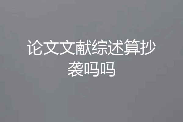 论文文献综述算抄袭吗吗