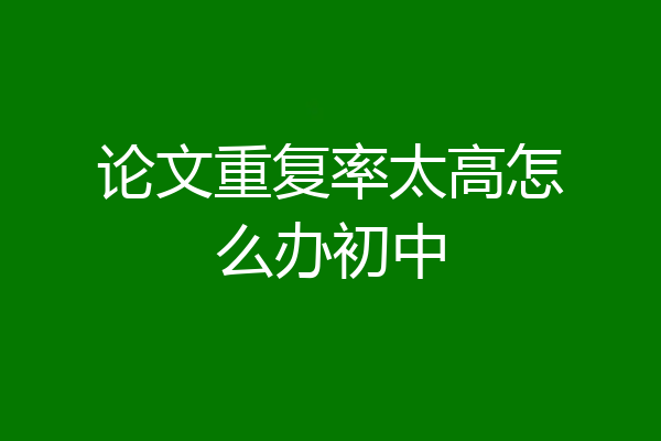论文重复率太高怎么办初中