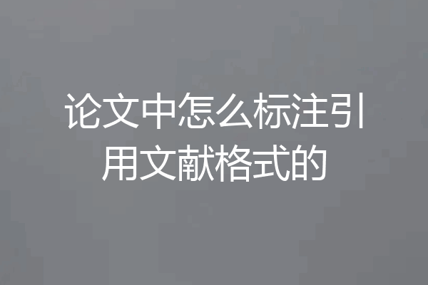 论文中怎么标注引用文献格式的